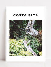 Load image into Gallery viewer, Costa Rica &#39;A Little Parrot Told Me&#39; Print
