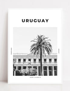Uruguay 'Montevideo Palms' Print