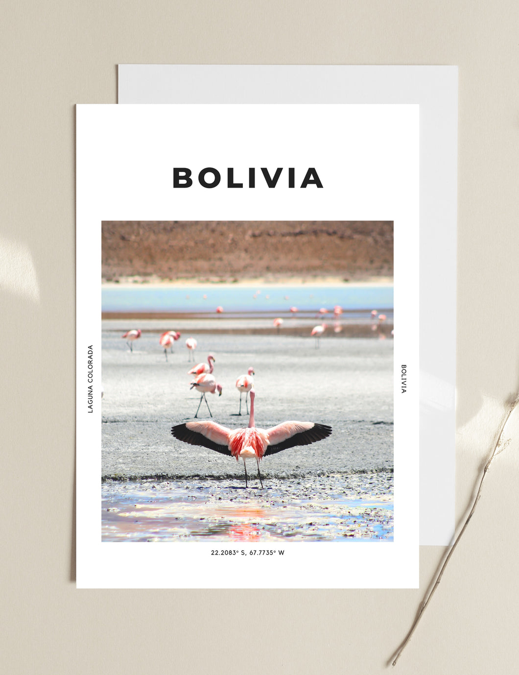 Bolivia 'Free As A Flamingo' Print