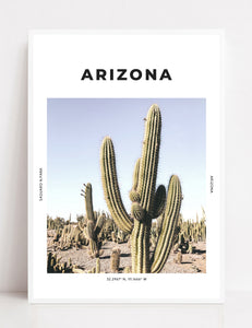 Arizona 'Cactus County' Print