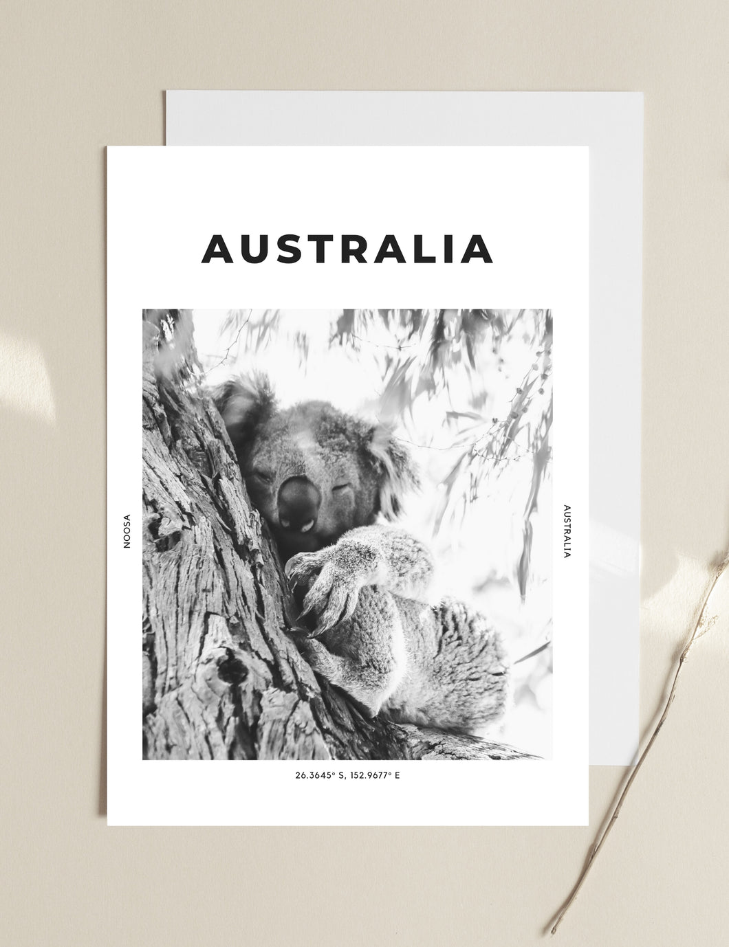 Australia 'Sleepy Koala' Print