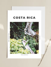 Load image into Gallery viewer, Costa Rica &#39;A Little Parrot Told Me&#39; Print
