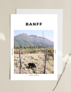 Banff 'Bear of Canada' Print