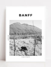 Load image into Gallery viewer, Banff &#39;Bear of Canada&#39; Print
