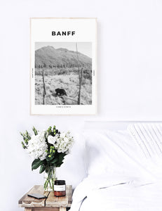 Banff 'Bear of Canada' Print