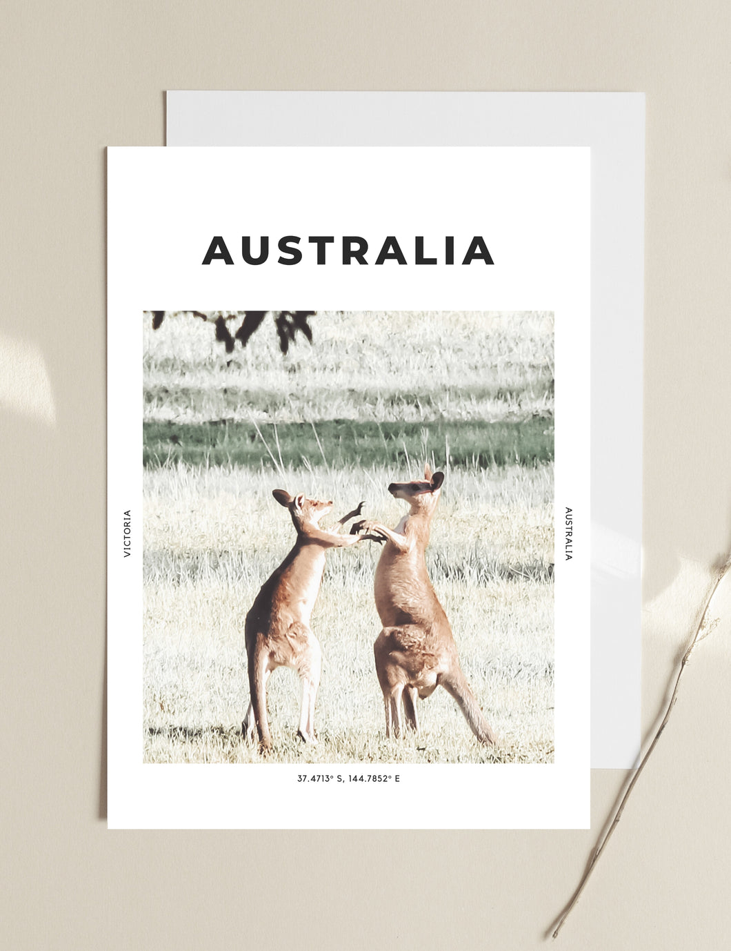 Australia 'Naked Kangaroos' Print