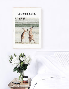 Australia 'Naked Kangaroos' Print