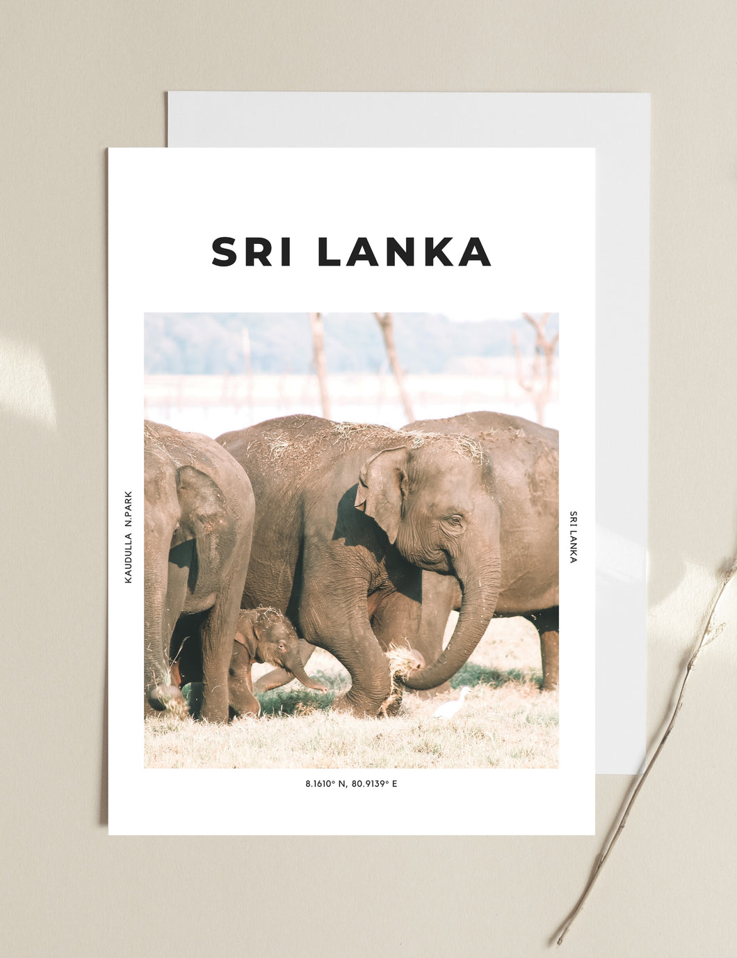 Sri Lanka 'Dream Big' Print