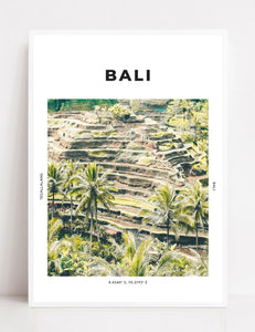 Bali 'Rice Is Nice' Print