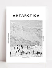 Load image into Gallery viewer, Antarctica &#39;Antarctic Penguins&#39; Print
