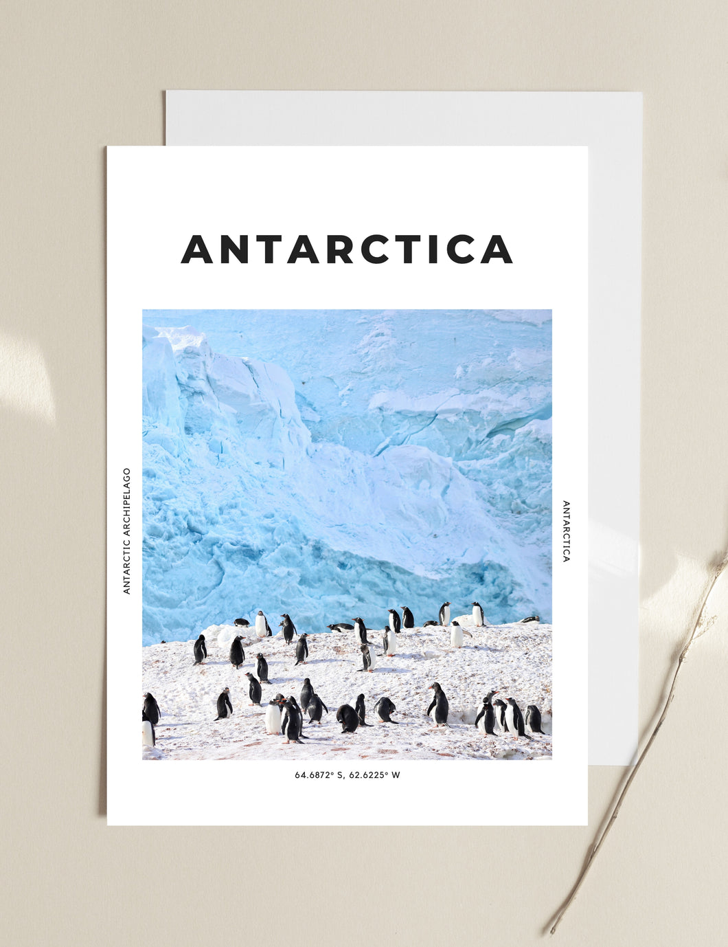Antarctica 'Antarctic Penguins' Print