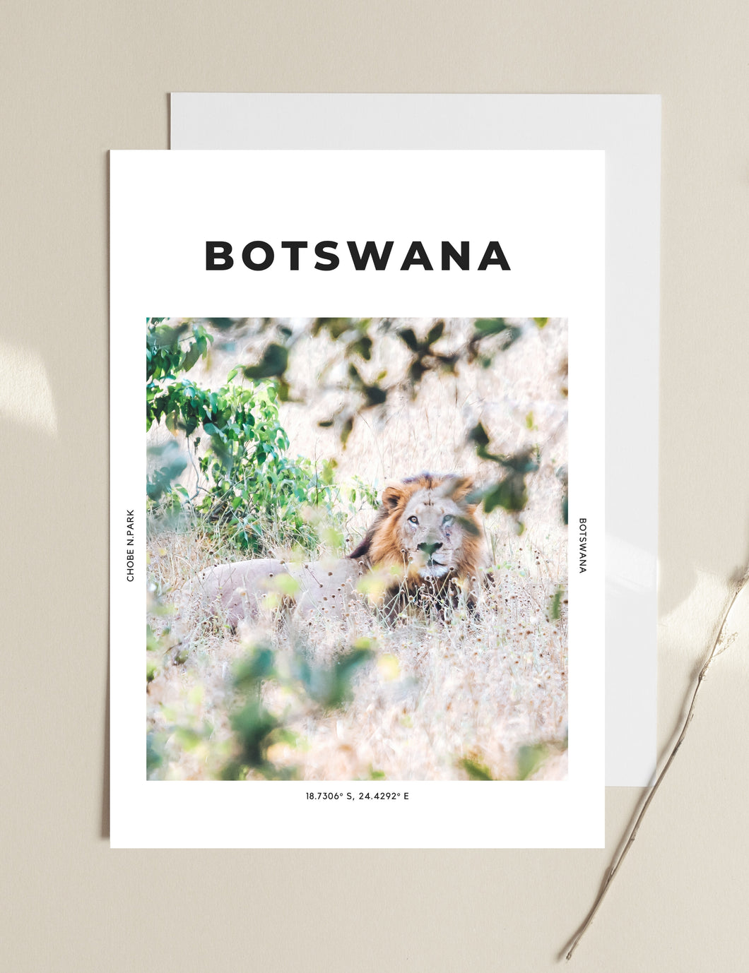 Botswana 'Brave As A Lion' Print