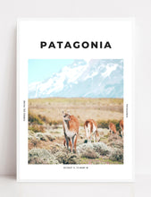 Load image into Gallery viewer, Patagonia &#39;Chilean Dream World&#39; Print
