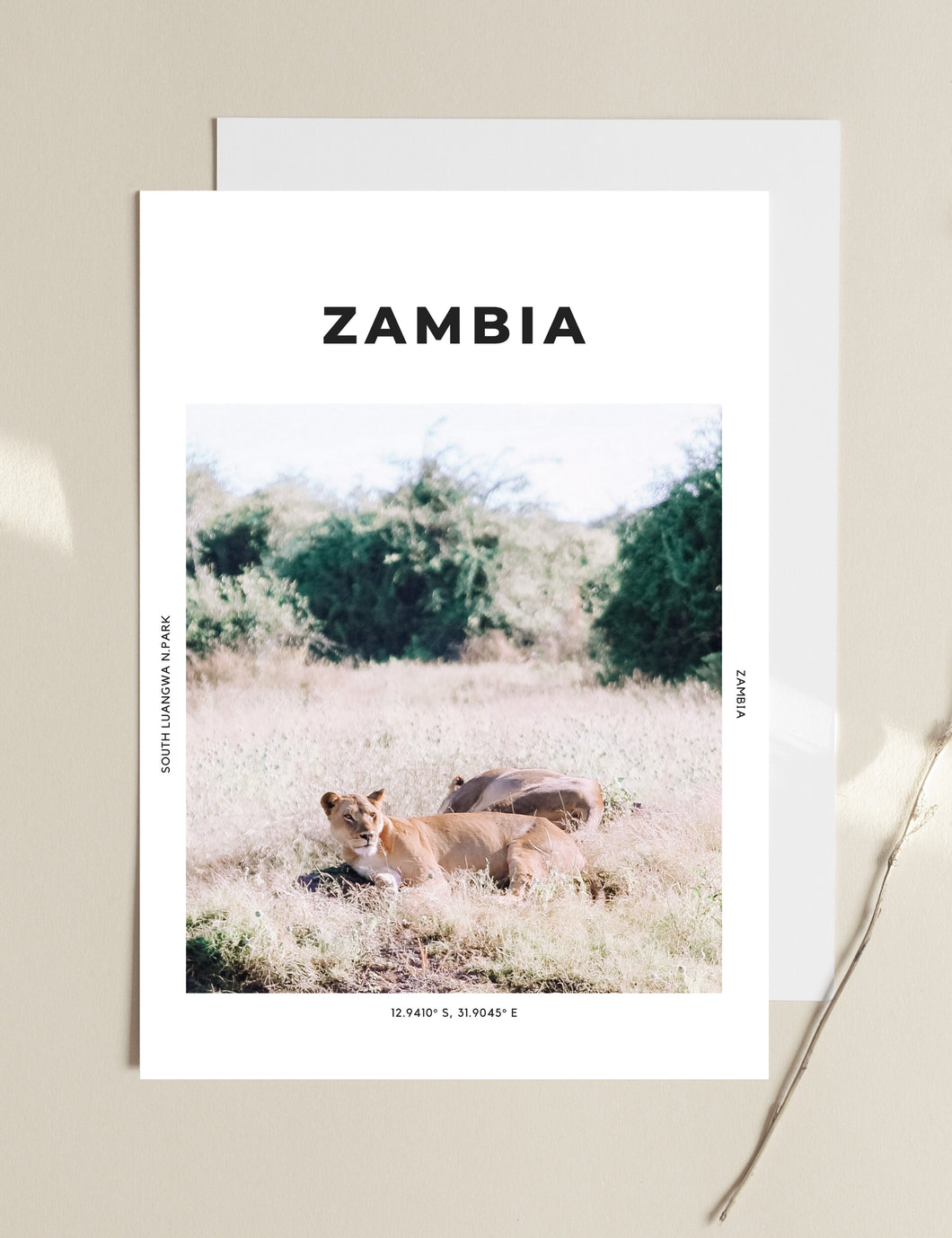 Zambia 'Into Nala's Lion Den' Print