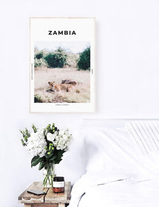 Zambia 'Into Nala's Lion Den' Print