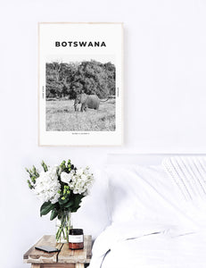 Botswana 'It's A Jungle Out There' Print