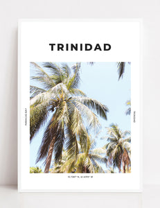 Trinidad 'Coconuts About You' Print