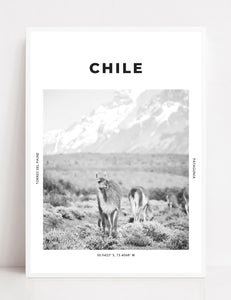 Chile 'This Beautiful Planet' Print