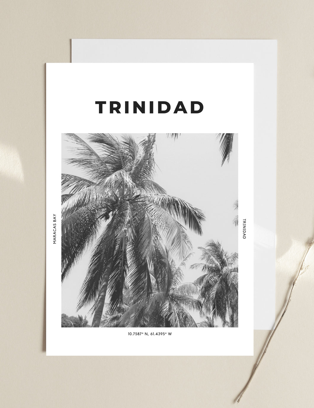 Trinidad 'Coconuts About You' Print