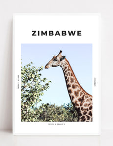 Zimbabwe 'Gerald Giraffe' Print