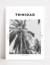 Load image into Gallery viewer, Trinidad &#39;Coconuts About You&#39; Print
